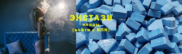 гашик Богородск
