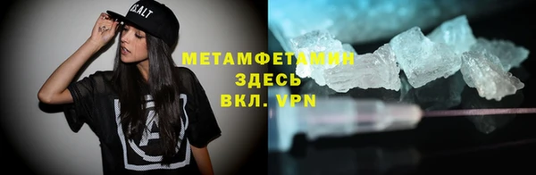 шишки Инта