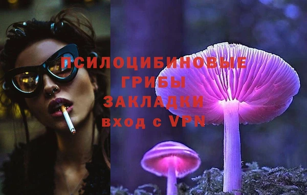 эйфоретик Бронницы