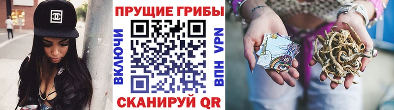 Галлюциногенные грибы Psilocybine cubensis  дарк нет формула  Дивногорск 
